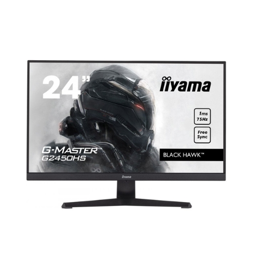 iiyama 24-inch Monitor